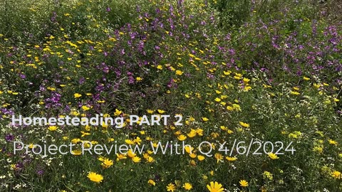 Homesteading PART 2 4/6/2024