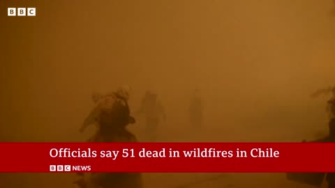 Chile forest fire : At least 51 dead , say official | BBC News