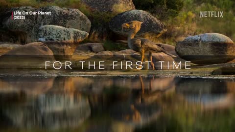 TRAILER ｜ Incredible New Paleo Documentary Coming To Netflix! Life On Our Planet