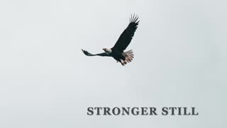 Pray USA, 6/10/23 Stronger Still