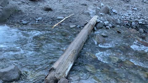 Oregon – Mount Hood – Innovative River Crossing Trick – 4K