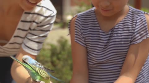 Birds eating from the hands of a beautiful girl😍😍😍