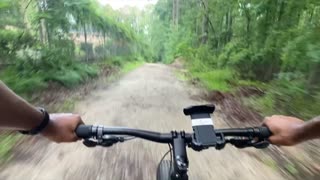 Fat Bike Downhill