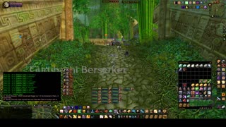 Turtle Wow - ZG PUG run - 17 March - paladin POV