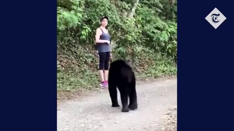 Woman takes selfie with bear on hiking trail in Mexico