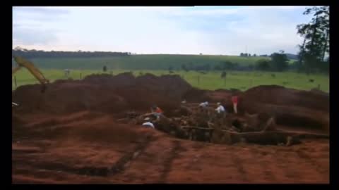 Researchers poured 10 tons of cement into an abandoned ant hive