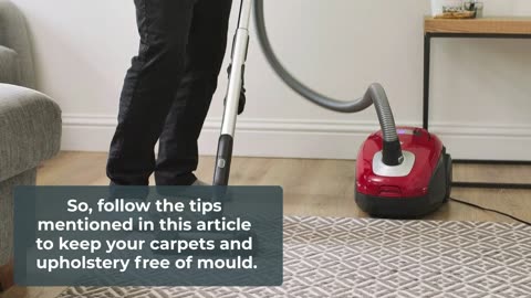 Upholstery & Carpet Cleaning- Mould Prevention Techniques