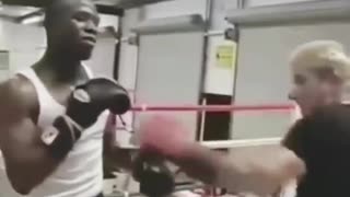 Floyd Mayweather: Shoulder Rolls and Counter Punching