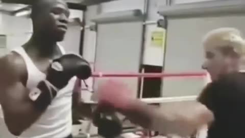 Floyd Mayweather: Shoulder Rolls and Counter Punching