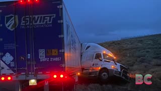 Mormon cricket ‘sludge’ causes crashes in Nevada
