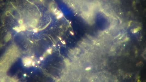 Nanoroboty w zastrzykach COVID-19. Mikroskopia ciemnego pola - Dr David Nixon. Czwarta rewolucja przemysłowa. Napisy PL