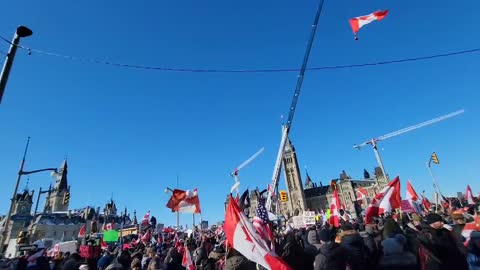 Day 8 Ottawa Freedom Convoy 2022