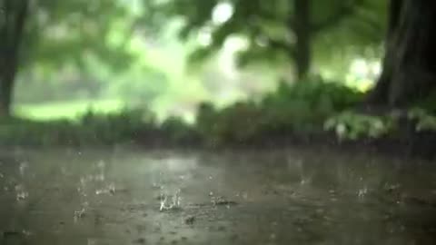 Rain 🌨️ | Beautiful Raining | Natural Beauty