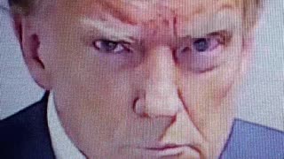 Trump's epic mugshot