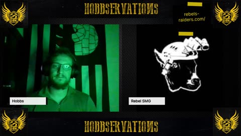 Hobbservations: Rebels Raiders
