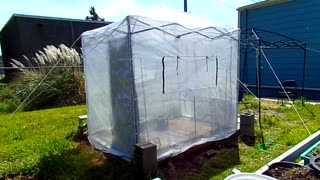 My greenhouse in 60+ m.p.h. winds: