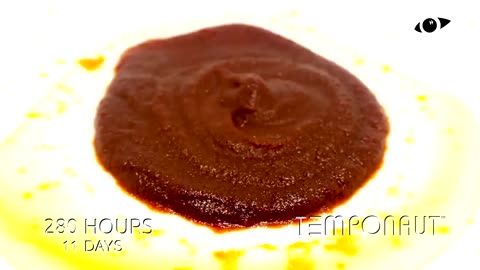 Ketchup Time Lapse