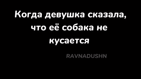 Когда девушка сказала, что её собака не кусается