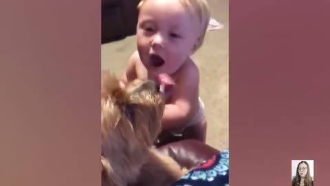 Best Video of Cute Babies and Pets - Funny Baby and Dogs __ Just Laugh
