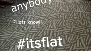 19 Pilots being asked if the earth is flat.... 19 pilots answered- Yes, it's flat