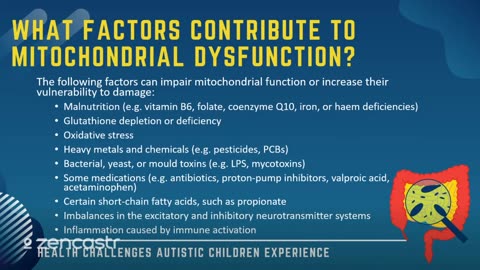 33 of 63 - Factors That Contribute to Mitochondrial Dysfunction - Health Challenges in Autism