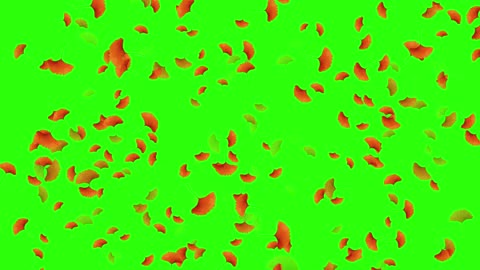 green screen autumn leaves keying
