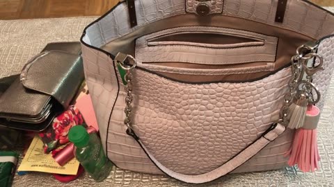 What's in my New Directions Chalk Croco Layla Bag.