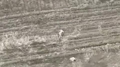 ‼️🇷🇺⚡️Epic footage of the destruction of militants of Ukrainian formations