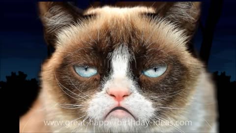 Happy Birthday Song Grumpy Cat