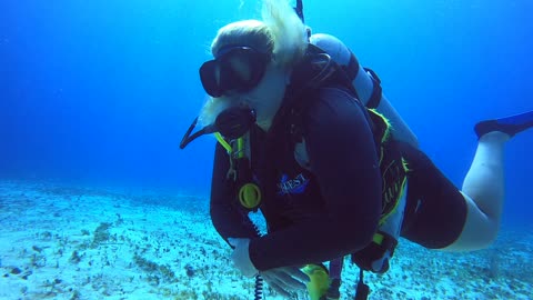 Cozumel SCUBA Diving Paraiso Reef Cousin IT