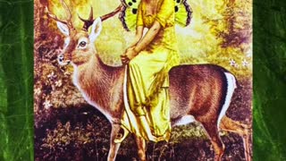 Daily Energy Oracle Reading November 17, 2022 🦌