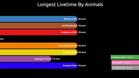 Animal Amazing World Records | Comparison