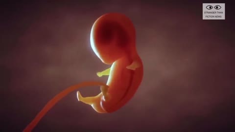 Digital pods that grow fetuses' completely outside the womb....