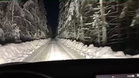 Tesla deep in snow forest