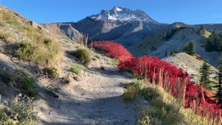 Oregon – Mount Hood – Truly Spectacular Alpine Wonderland – 4K