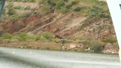 Impressive Backflip Jump Off A Bridge