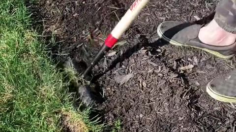 Have you seen this gardening hack? 2.0