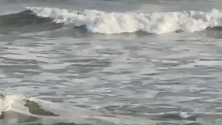 Ventnor Pier Surfing Sept 13, 2023 5:30 - 6 PM?