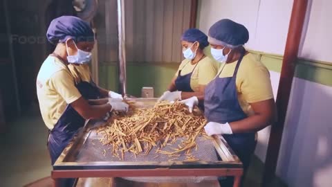 Cinnamon Making Process | Modern Ceylon Cinnamon Harvesting | How Ceylon Cinnamon Is Made