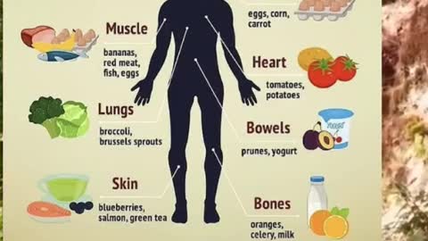 Best Foods For Your Body