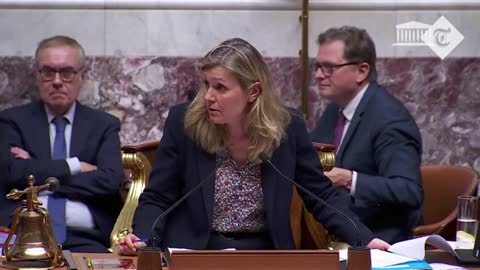 Moment far-right MP shouts 'go back to Africa' during French Parliament