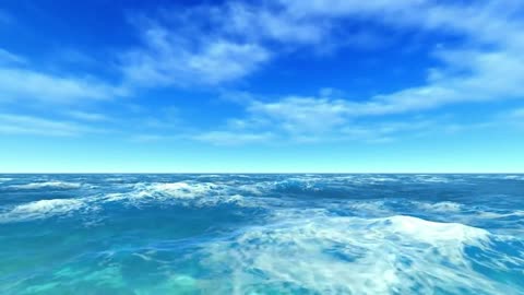 Ocean Waves View