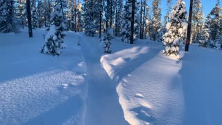 Early Section of Porcupine Snowshoe Loop – Central Oregon – Swampy Lakes Sno-Park – 4K