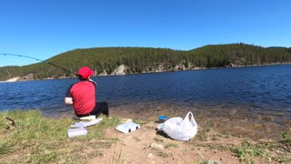 The Eagle Strikes in the Bighorn Mountains