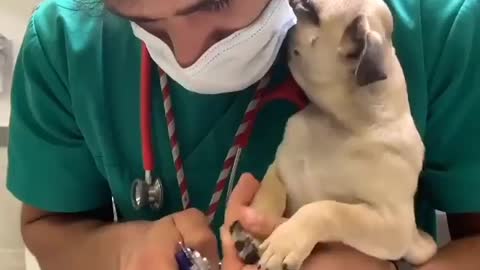 You can cut my nails but first let me kiss you hooman 😘