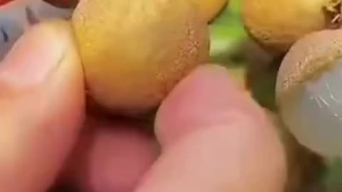 satisfying fruit