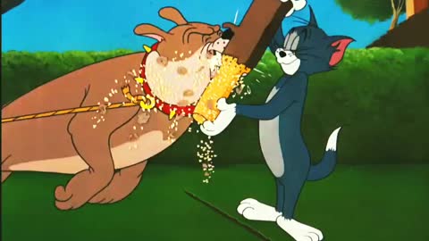 Funny Tom and Jerry cartoon videos, cartoon funny Video, kid's cartoon funny Video