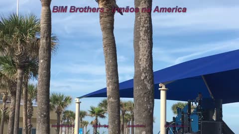 Sun Splash Park e Praia + Daytona Beach + Florida + Estados Unidos + USA + Part 1/2