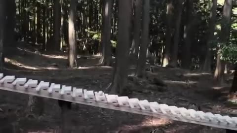 Jesu, Joy Of Man's Desiring played by a wooden ball on blocks on a mountain in Japan! LOVELY!