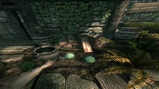 Skyrim VR-Basketball